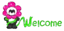 Flower Panda Welcome