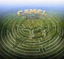 camel