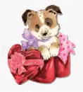 CUTE DOG
