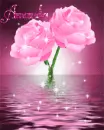 Amanda's pink flower picture