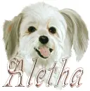 aletha