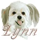LYNN