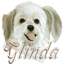 GLINDA