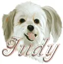 judy