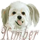 kimber