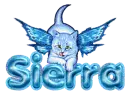 Angel cat Sierra