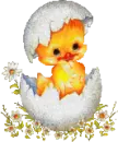 Easter Chick