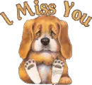 i miss u