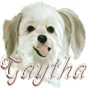 gaytha