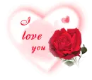 I love you