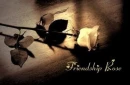 FRIENDSHIP ROSE