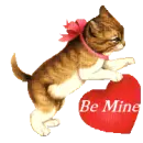 be mine cat
