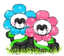 Flower Pandas