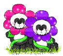 Flower Pandas