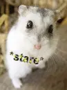 *stare*