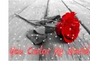 You Color My World