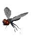DragonFly1