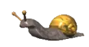 Snail