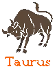 Taurus