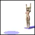Girl Diving