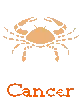 Cancer