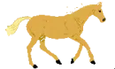 Horse1