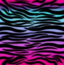 Colorful Zebra Background