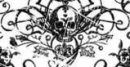 Skull Background