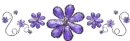 Purple Flowers