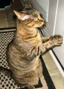 Please open the door,I have to use the bathroom!