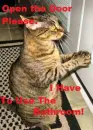 Please open the door,I have to use the bathroom!Plz!