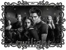 Twilight~Group
