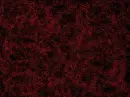 dark