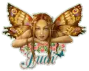 Judi