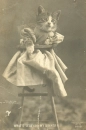 One of the first lol cats (era 1905)