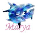 Marya - Dolphins
