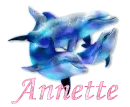 Annette - Dolphins