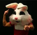 pierre bouvier with bunny
