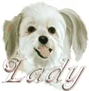 lady