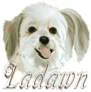 ladawn