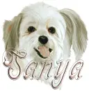 sanya