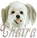 chaira