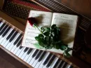 MUSIC OF LOVE