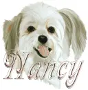 nancy