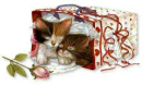 Kittens in a bag