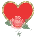 HEART 8