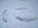 SNOW ANGEL 3
