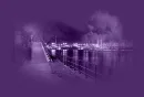 PURPLE PASSION