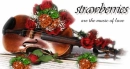 MUSIC OF LOVE