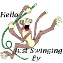 monkey swinging